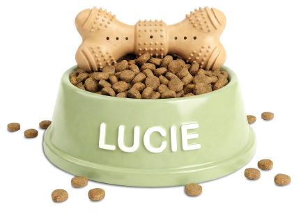 bowl with dog food
